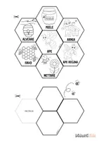 anteprima - Materiale di supporto/inclusione - Giornata mondiale delle API lapbook - Pagina 1