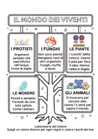 anteprima - Materiale di supporto/inclusione - I 5 regni dei viventi - Pagina di copertina