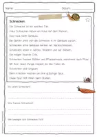 Vorschau - Arbeitsblätter - Sachtext Schnecke - Seite 1