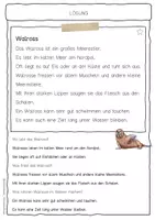 Vorschau - Arbeitsblätter - Sachtext Walross - Seite 2
