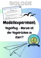 Vorschau - Arbeitsblätter - Experiment Vogelflug: Funktion des Vogelrückens beim Fliegen - Deckblatt