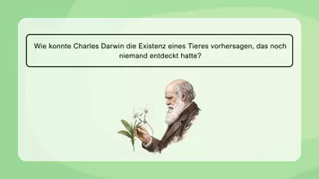 Vorschau - Arbeitsblätter - Koevolution verstehen – Mystery 🦋 - Seite 2