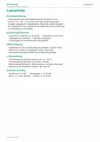Vorschau - Arbeitsblätter - Klasse 7 Grundwert berechnen (Prozentrechnung) - Seite 1