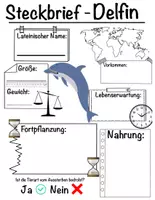 Vorschau - Arbeitsblätter - Steckbrief - Delfin - Deckblatt