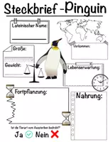 Vorschau - Arbeitsblätter - Steckbrief - Pinguin - Deckblatt