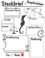 Vorschau - Arbeitsblätter - Steckbrief - Seepferdchen - Deckblatt