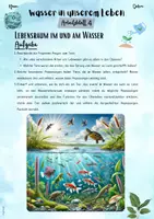 Vorschau - Unterrichtsreihen - Wasser in unserem Leben: Lebensraum im und am Wasser (5. & 6. Klasse, Biologie | Nawi) - Seite 2