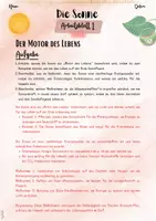 Vorschau - Arbeitsblätter - Die Sonne: Der Motor des Lebens | Einstieg (5. & 6. Klasse Nawi, Biologie) - Seite 2
