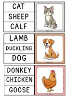 anteprima - Esercizi - Farm animals (Clip cards) - Pagina 3