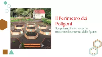 anteprima - Esercizi - Il Perimetro: percorso completo: teoria e pratica - Pagina 2