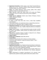 Vista previa - Refuerzo / NEE / Materiales de apoyo - Regiones Naturales de Venezuela - página 2