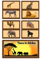 Vorschau - Spiele - Lesebox Tiere in Afrika - Seite 1