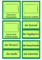 Vorschau - Spiele - Eduki Cover Lesebox Spinnen,Insekten - Seite 3