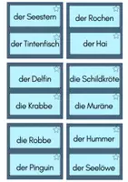 Vorschau - Spiele - Lesebox Tiere im Meer - Seite 2