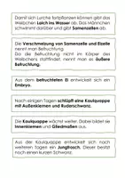 Vorschau - Arbeitsblätter - Laufdiktat Fortpflanzung von Lurchen und Kriechtieren - Seite 3