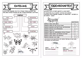 Vorschau - Arbeitsblätter - Forscherheft - Insekten - Eigenständiges Arbeiten - Seite 3