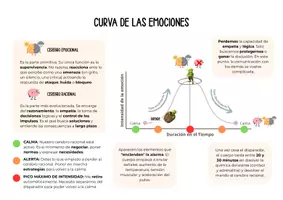Vista previa - Otros - Psicoeducación - Curva de las emociones - Portada