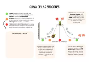 Vista previa - Otros - Psicoeducación - Curva de las emociones - página 1