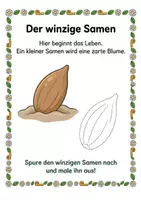 Vorschau - Arbeitsblätter - Alles rund um das Gänseblümchen– Wissens- & Mitmachheft für Kita & 1. Klasse - Seite 1