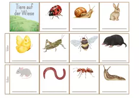 Vorschau - Anderer Materialtyp - Mini Lapbook: Tiere auf der Wiese - Seite 3