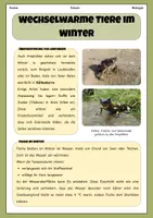 Vorschau - Arbeitsblätter - Wechselwarme Tiere im Winter | Unterrichtsreihe "Tiere in unserem Umfeld", Biologie 5.-6. Klasse - Seite 2