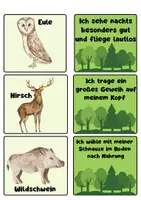 Vorschau - Spiele - Lese-Zuordnungsspiel Waldtiere – Klasse 2 – 4 - Seite 2