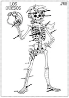 Vista previa - Unidades / Secuencias / Situaciones de Aprendizaje - Flipbook del cuerpo humano: huesos y músculos para Primaria - página 3