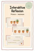 Vorschau - Präsentationen/Tafelbilder - Reflexion interaktiv - Deckblatt