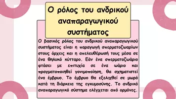Προεπισκόπηση - Παρουσιάσεις - Το ανδρικό αναπαραγωγικό σύστημα - Σελίδα 1