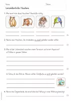 Vorschau - Arbeitsblätter - Haustiere: Lernzielkontrolle / Test (2./3. Klasse) - Seite 1