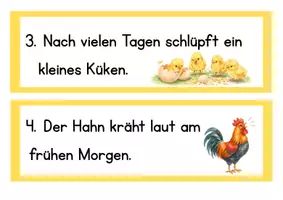 Vorschau - Aufgabenkarten - Schleichdiktat_Küken, Hühner, Hähne - Seite 3