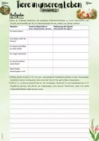 Vorschau - Unterrichtsreihen - Tiere in unserem Leben: Wenn Tiere sprechen – Kommunikation verstehen und deuten (5. - 7. Klasse Biologie | Nawi) - Seite 2