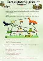 Vorschau - Unterrichtsreihen - Tiere in unserem Leben: Tiere im Ökosystem – Zusammenhänge verstehen und darstellen (5. - 7. Klasse Biologie | Nawi) - Seite 3