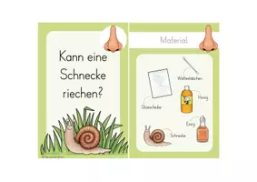 Vorschau - Unterrichtsreihen - Sachunterricht Klasse 2 (wachsendes Paket) - Seite 3