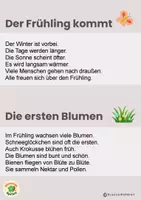 Vorschau - Fördermaterial/Inklusion - Materialpaket Abschreibkartei - Seite 2