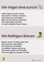 Vorschau - Fördermaterial/Inklusion - Materialpaket Abschreibkartei - Seite 3