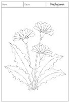 Vorschau - Arbeitsblätter - Graphomotorik / Schwungübungen - Blumen - Vorschule / 1. Klasse - Seite 3