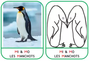 Aperçu - Apprentissages en autonomie - Cartes Lettres - Lettres obliques A K M N V W X Y Z - Page 2