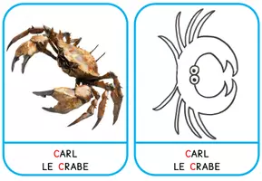Aperçu - Apprentissages en autonomie - Cartes Lettres - Animal et Lettres déguisées - Page 3