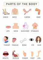 Vista previa - Hojas de trabajo - Body & Future Predictions: First Conditional + Vocabulary - página 2