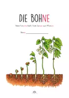 Vorschau - Arbeitsblätter - Bohne Klasse 1 Forscherheft, Arbeitsblätter, Legekreis – Vom Samen zur Pflanze - Seite 3