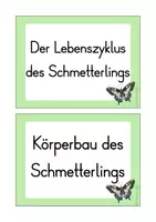 Vorschau - Poster - Schmetterlinge: Reihentransparenz (Kl. 2-4) - Seite 1