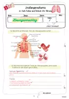 Vorschau - Präsentationen/Tafelbilder - Leistungsnachweise – Atmung (7. Klasse, Mittelschule Bayern – LehrplanPLUS); Prüfungsvorbereitung, Hefteinträge zum Thema - Seite 2