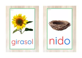 Vista previa - Tarjetas / Manipulativos - Vocabulario letra minúscula imprenta (primavera) - página 1