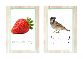 Vista previa - Tarjetas / Manipulativos - INGLÉS - Vocabulario letra minúscula imprenta punteada (primavera) - página 3