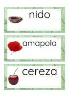 Vista previa - Tarjetas / Manipulativos - Lecto-escritura minúscula imprenta (primavera) - página 1