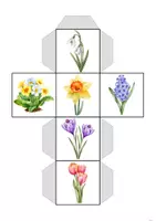 Vorschau - Stationenlernen - Frühblüher-Würfel – Pflanzen erkennen & benennen (differenziert) - Seite 1