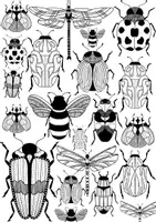 Vorschau - selbst erstellte Cliparts/Grafiken - Black & White Ausmalbilder Hefteinband - Seite 2
