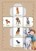 Vorschau - Stationenlernen - Hunde-Würfel – Hunderassen erkennen & benennen (differenziert) - Deckblatt