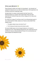 Vorschau - Mal- und Bastelvorlagen - Sonnenblumen Bastelprojekt - Anleitung und Vorlagen - Seite 2